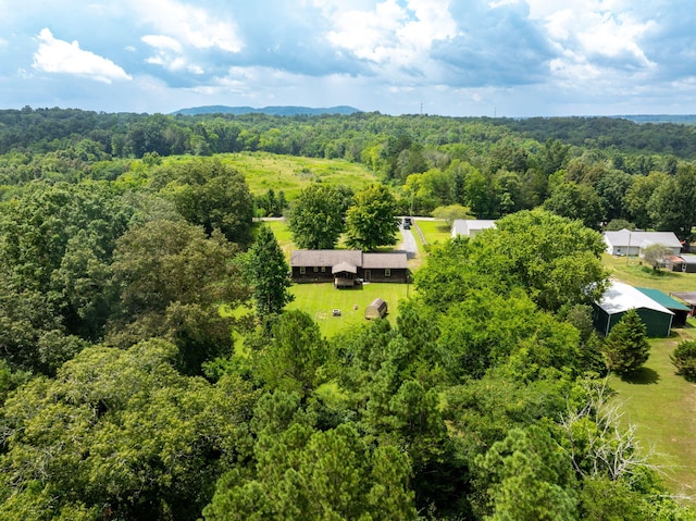 183 Gamble Rd, Georgetown, TN 37336 - photo 43