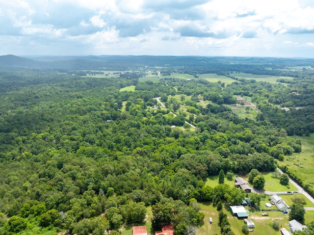 183 Gamble Rd, Georgetown, TN 37336 - photo 45