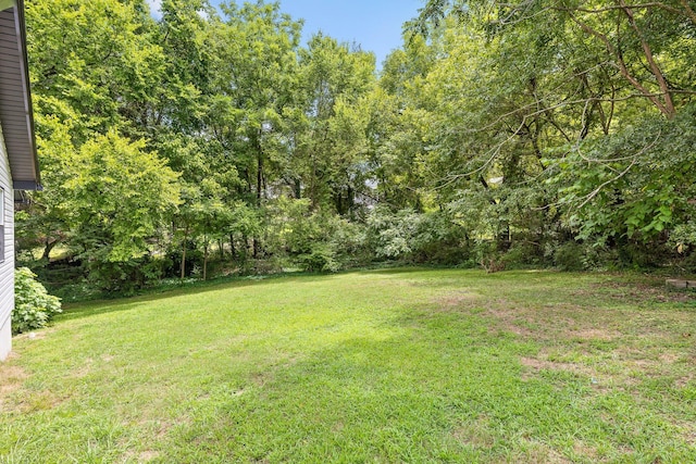 112 Hunt St, Rossville, GA 30741 - photo 25