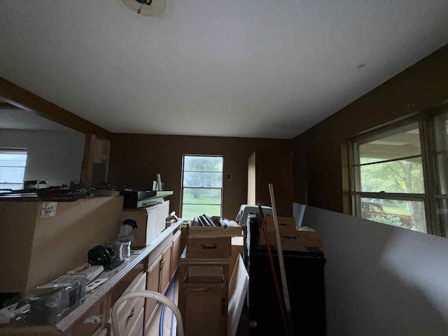 264 Stocker Rd, Palmer, TN 37365 - photo 16