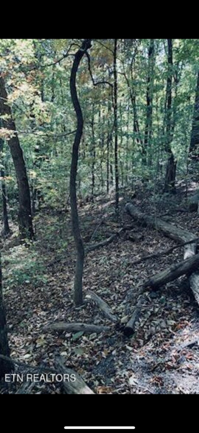 1301 E Brow Rd, Signal Mountain, TN 37377 - photo 2