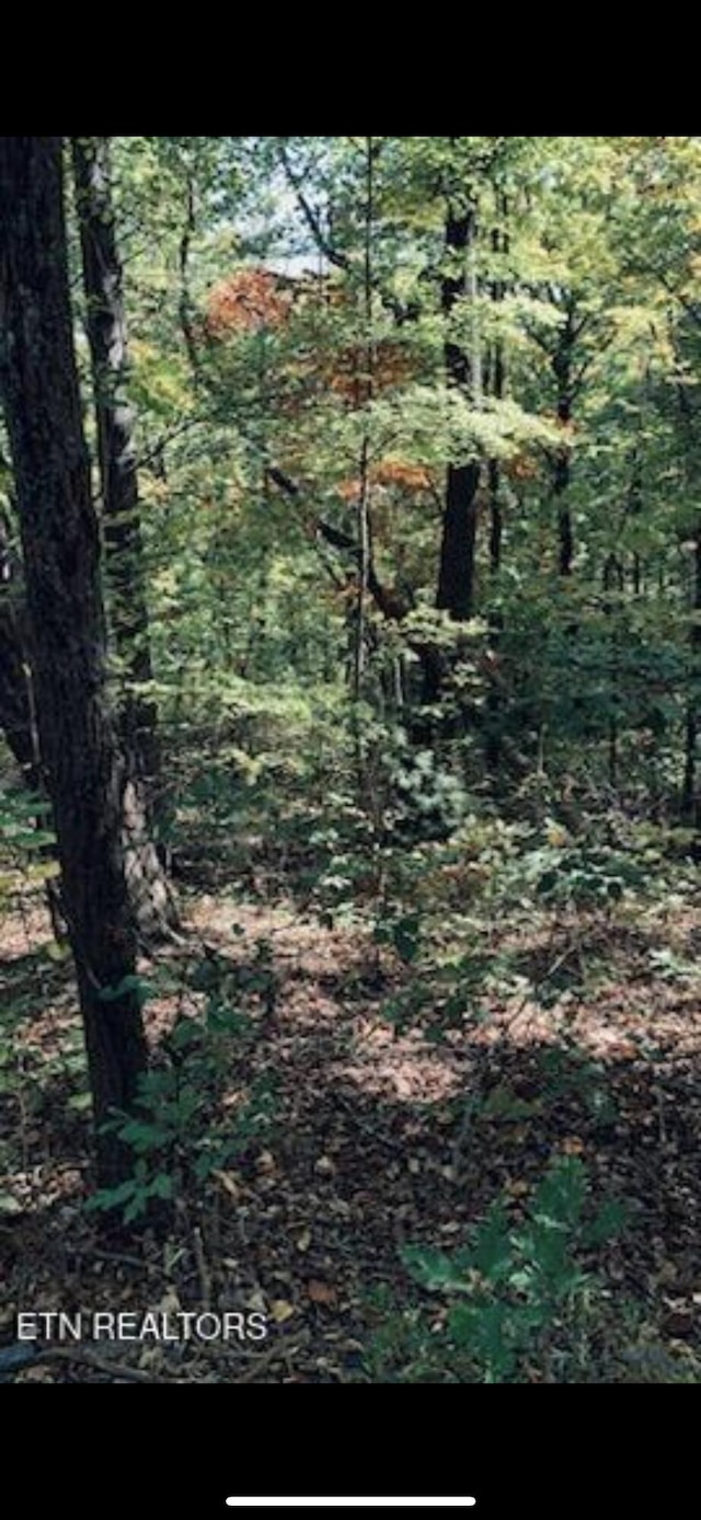 1301 E Brow Rd, Signal Mountain, TN 37377 - photo 5