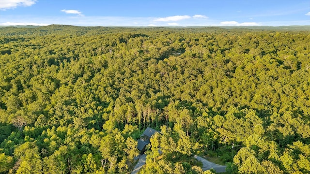 852 Old Grand Center Rd, Chickamauga, GA 30707 - photo 52