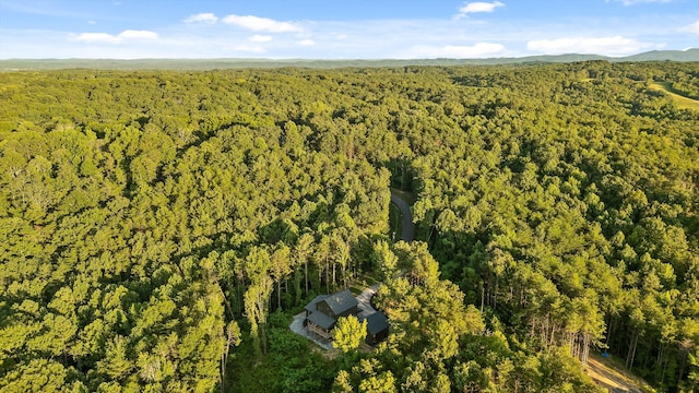 852 Old Grand Center Rd, Chickamauga, GA 30707 - photo 55