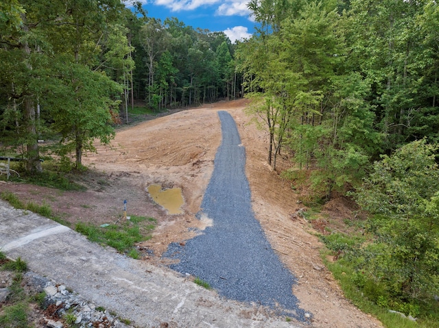 1023 Keith Salem Rd, Ringgold, GA 30736 - photo 3