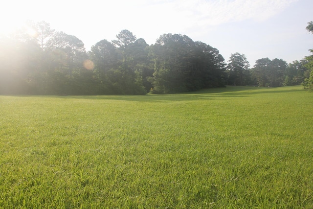 3800 Tunnel Hill Rd SW, Cleveland, TN 37311 - photo 4