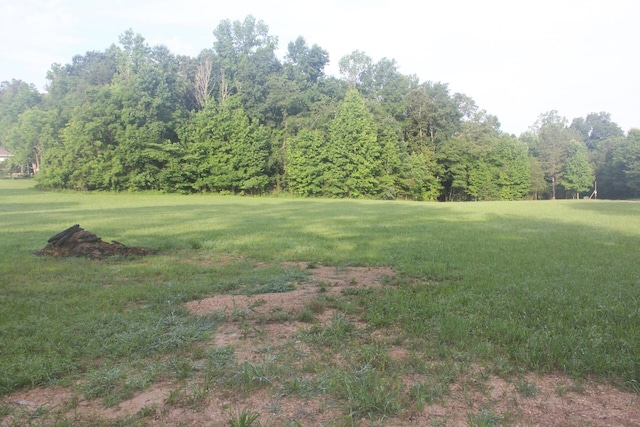 3800 Tunnel Hill Rd SW, Cleveland, TN 37311 - photo 6