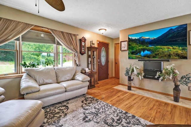 628 Sable Rd, Spring City, TN 37381 - photo 5