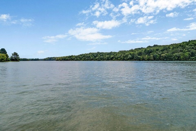 628 Sable Rd, Spring City, TN 37381 - photo 36