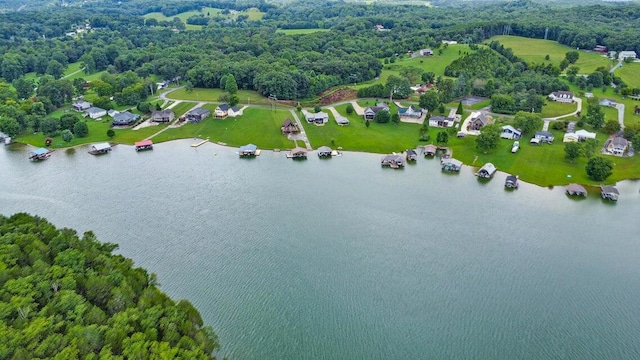 628 Sable Rd, Spring City, TN 37381 - photo 41