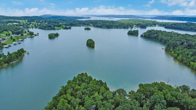 628 Sable Rd, Spring City, TN 37381 - photo 42