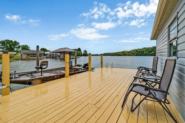 628 Sable Rd, Spring City, TN 37381 - photo 43