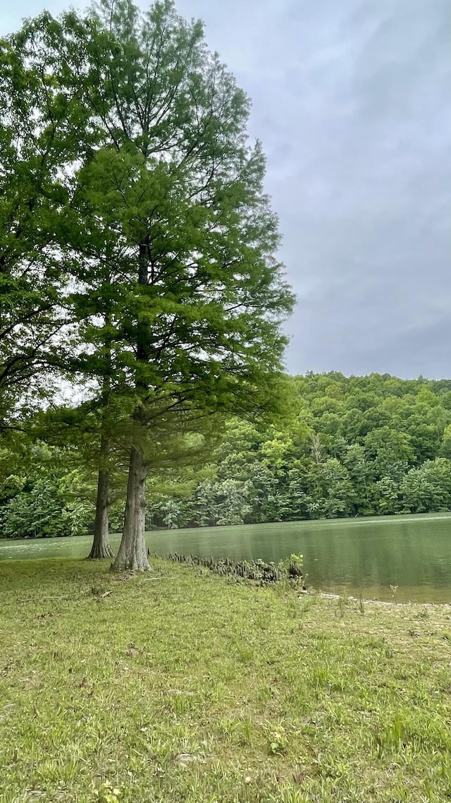 83 Cypress Ln Lot 5, Dunlap, TN 37327 - photo 39