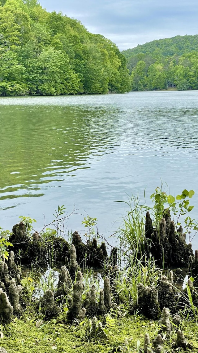 83 Cypress Ln Lot 5, Dunlap, TN 37327 - photo 40