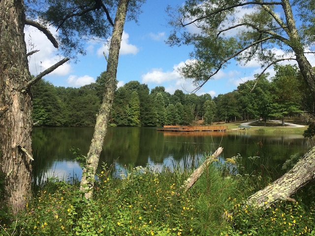 83 Cypress Ln Lot 5, Dunlap, TN 37327 - photo 51