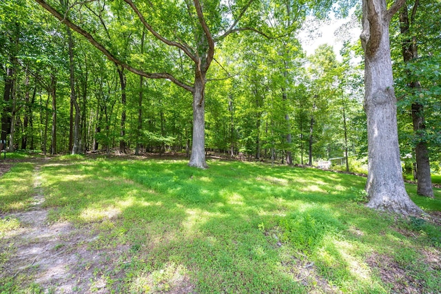 9986 Forest Dr, Collegedale, TN 37363 - photo 32