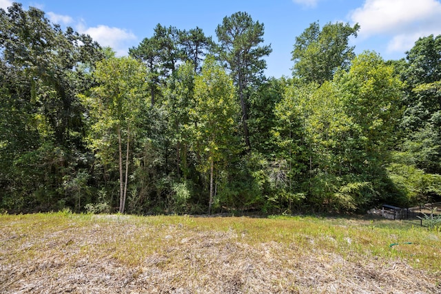 269 Sentry Oaks, Chickamauga, GA 30707 - photo 41