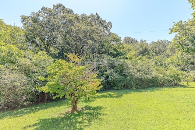 2514 Mahala Ln, Chattanooga, TN 37421 - photo 38