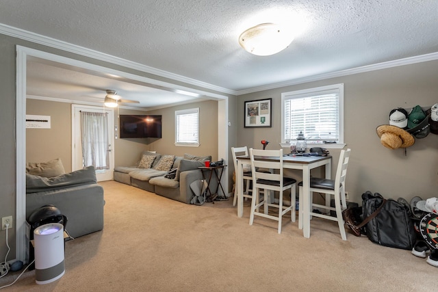 212 W Walden Cir, Soddy Daisy, TN 37379 - photo 18