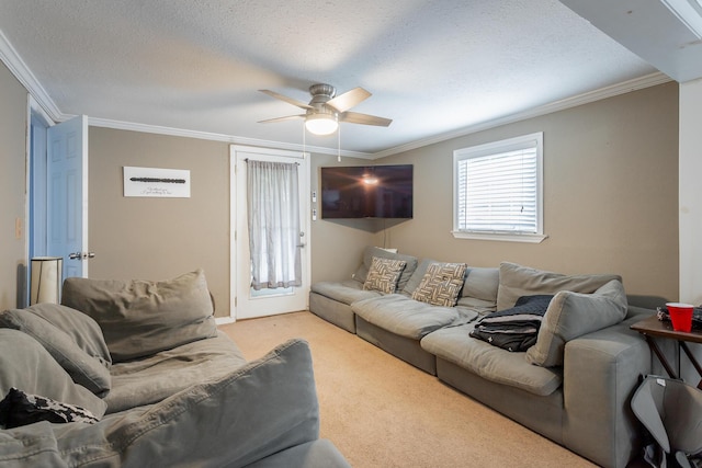 212 W Walden Cir, Soddy Daisy, TN 37379 - photo 22