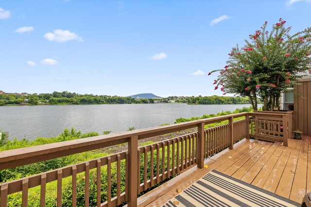 1118 Constitution Dr, Chattanooga, TN 37405 - photo 58