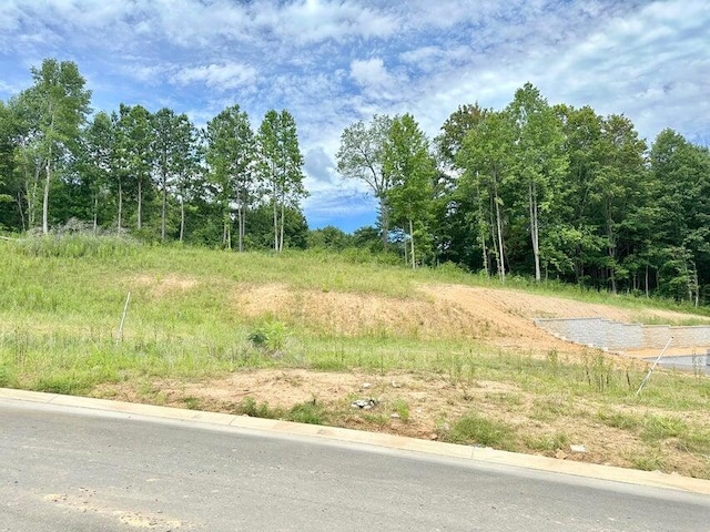 1254 Angie Ln NE, Cleveland, TN 37312 - photo 1