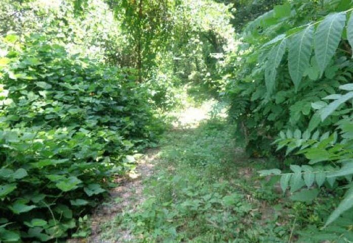 3705 Cross St, Chattanooga, TN 37411 - photo 1