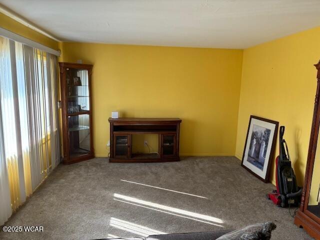 interior space featuring carpet floors and a wealth of natural light