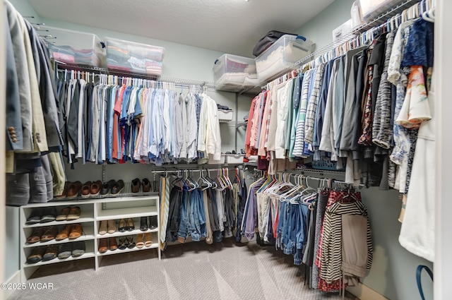 spacious closet featuring carpet