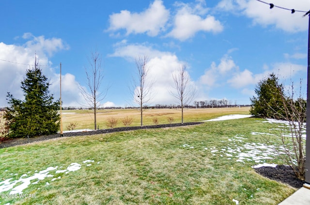 view of yard with a rural view