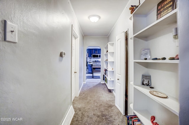 corridor featuring carpet