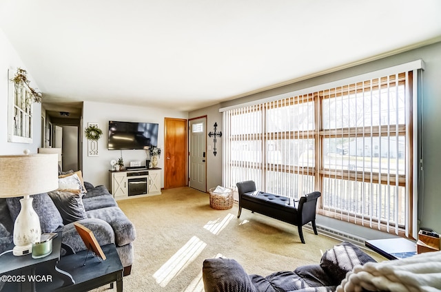 living room with carpet floors