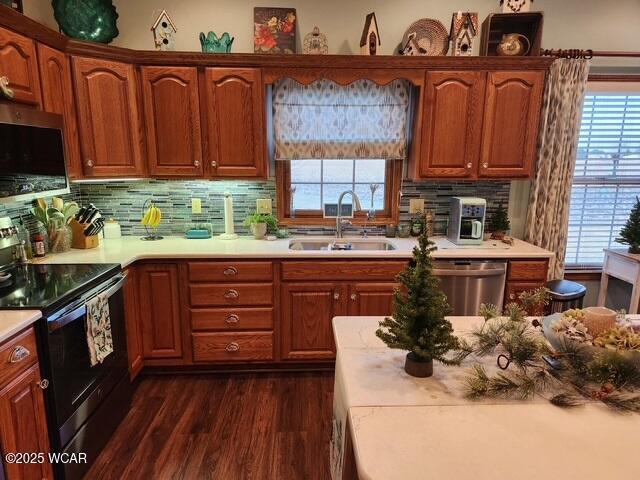 kitchen with a healthy amount of sunlight, dark wood-style flooring, a sink, light countertops, and appliances with stainless steel finishes