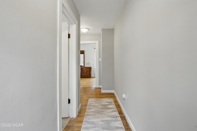 800 S Tyler St, Van Wert, OH 45891 - corridor featuring light wood-type flooring and baseboards