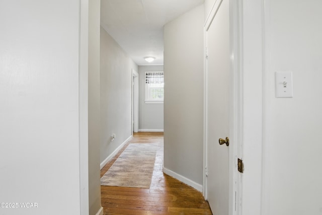 800 S Tyler St, Van Wert, OH 45891 - corridor featuring hardwood / wood-style flooring and baseboards
