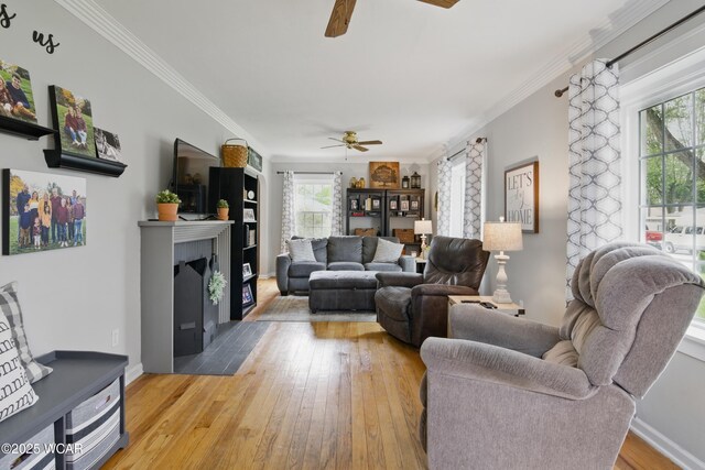 800 S Tyler St, Van Wert, OH 45891 - living area featuring a ceiling fan, healthy amount of natural light, light wood-style floors, a fireplace with flush hearth, and crown molding