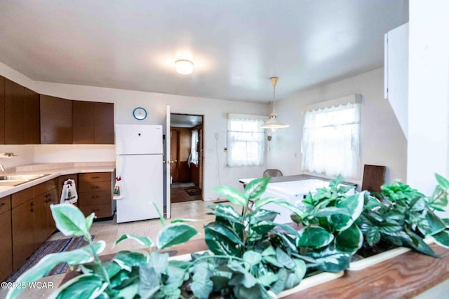 kitchen with white refrigerator, dark brown cabinetry, sink, and hanging light fixtures