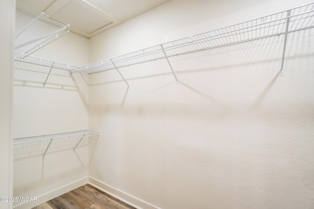 walk in closet with wood finished floors