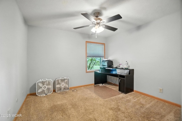 12242 Dustman Rd, Van Wert, OH 45891 - photo 27