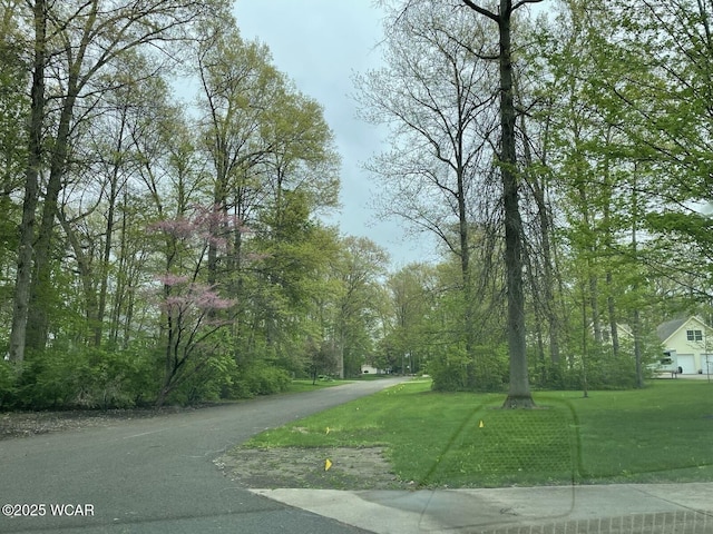 1421 Krendl Dr, Van Wert, OH 45891 - view of asphalt road