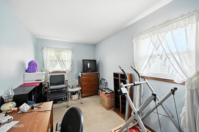 2449 Lark Ave, Lima, OH 45801 - photo 23