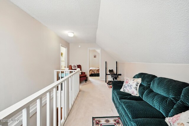 2449 Lark Ave, Lima, OH 45801 - photo 26