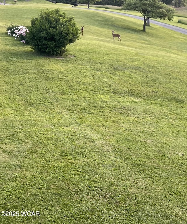 2855 State Route 67, Belle Center, OH 43310 - view of property's community featuring a lawn
