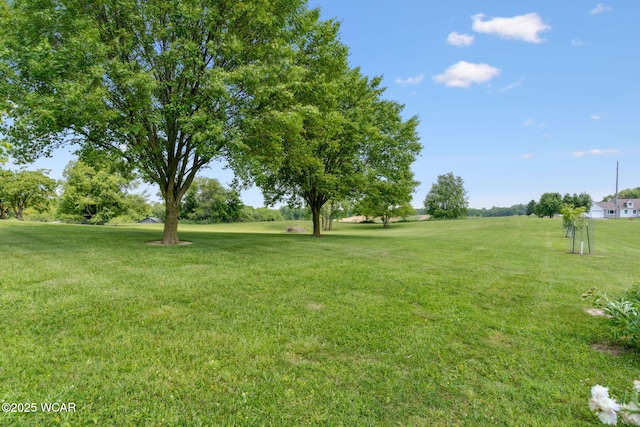 2855 State Route 67, Belle Center, OH 43310 - view of grassy yard
