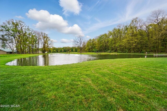 11787 County Road 180, Findlay, OH 45840 - photo 45