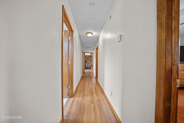 18509 State Highway 67, Upper Sandusky, OH 43351 - hallway featuring light wood-type flooring and a textured ceiling