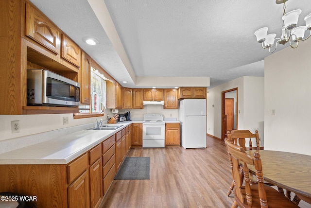 18509 State Highway 67, Upper Sandusky, OH 43351 - kitchen featuring white appliances, range hood, light wood-style floors, light countertops, and brown cabinetry