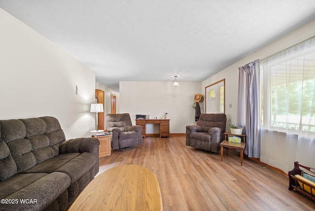 18509 State Highway 67, Upper Sandusky, OH 43351 - living area with light wood-style floors and a textured ceiling