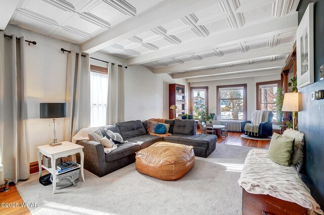 living room with hardwood / wood-style flooring, plenty of natural light, and radiator heating unit