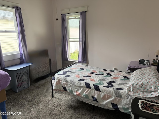 702 W Vine St, Lima, OH 45804 - view of carpeted bedroom